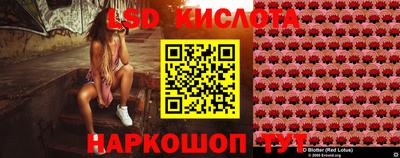 соль ск Бийск