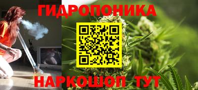 ГАЛЛЮЦИНОГЕННЫЕ ГРИБЫ Беслан