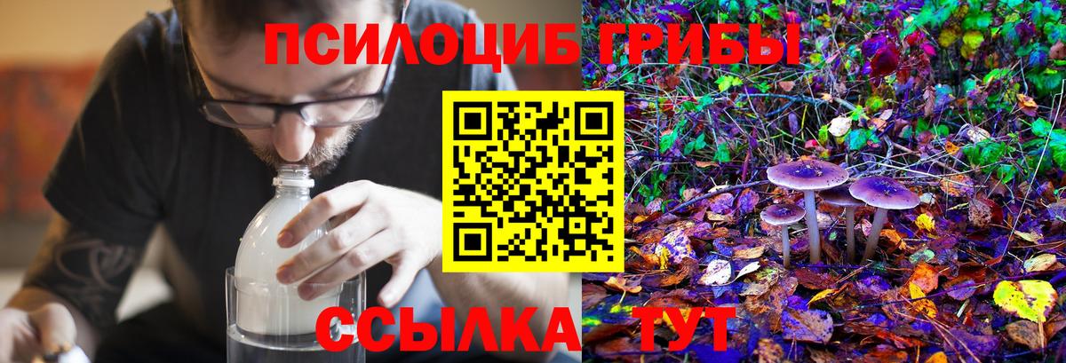 Псилоцибиновые грибы Magic Shrooms  Псилоцибиновые грибы MAGIC MUSHROOMS  Калуга  Вход с VPN 
