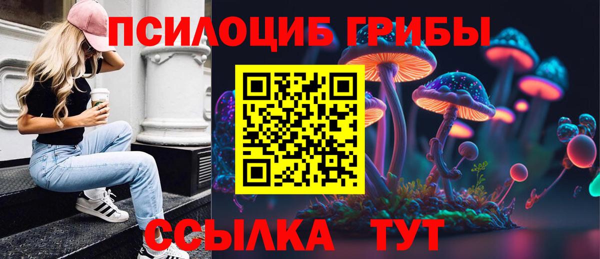 Псилоцибиновые грибы Psilocybe Калуга